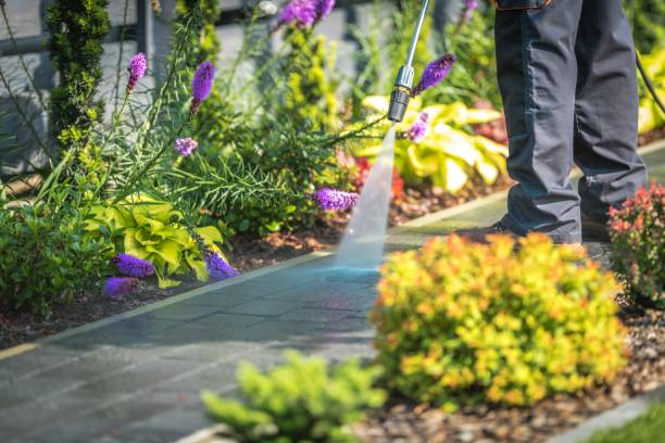 Trusted Centerfield, UT  Pressure Washing Services Experts